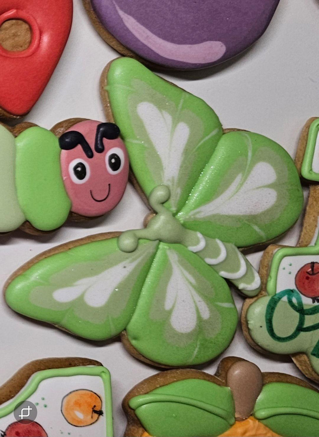insect Birthday Biscuits, Caterpillar Biscuits, Party favours